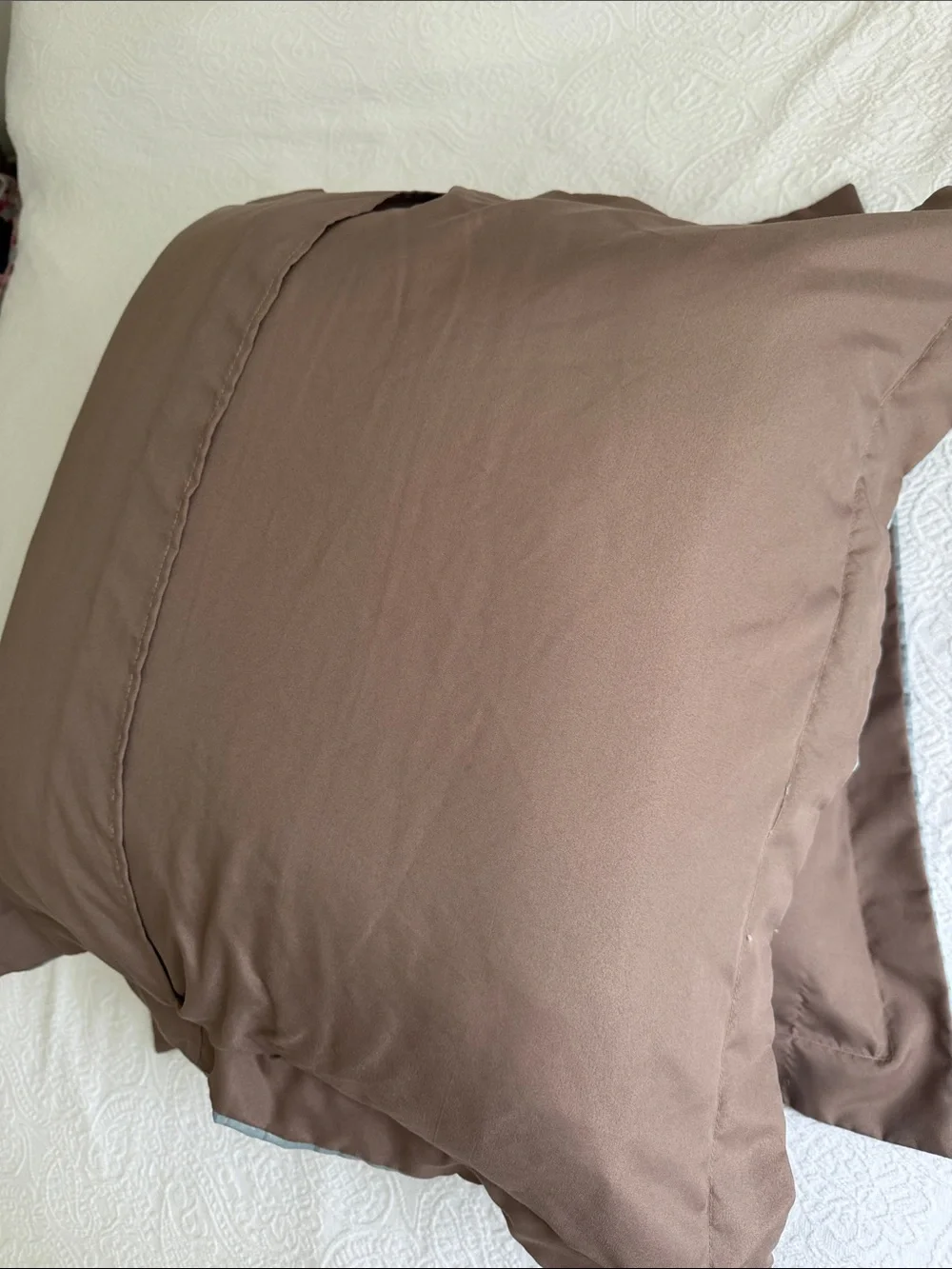 2 Pillows in Turquoise up Shine Cases brown button